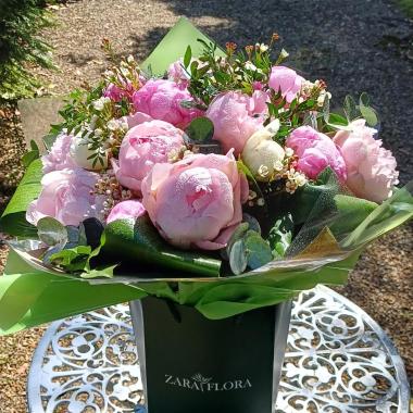 B43 Pivoines