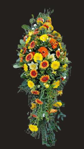 F295 Coffin Spray