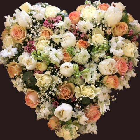 F234 Heart