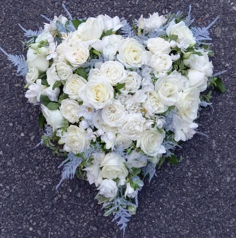 F268 Heart