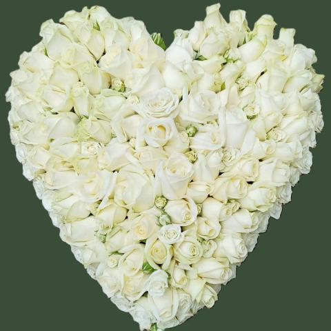 F270 Heart