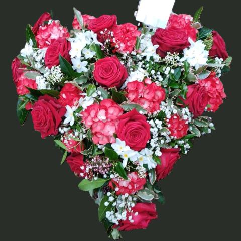 F271 Heart