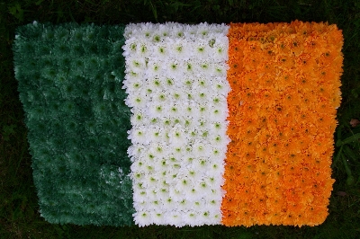 F088 Irish Flag