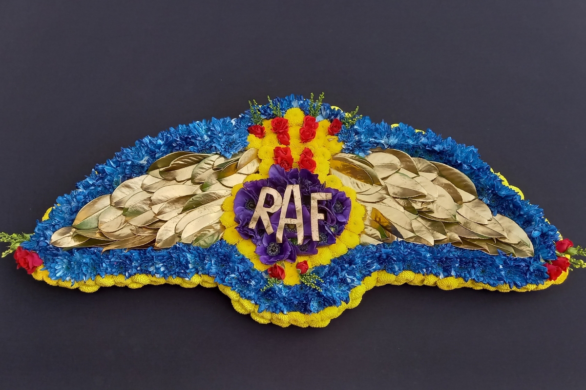F093 RAF Wings