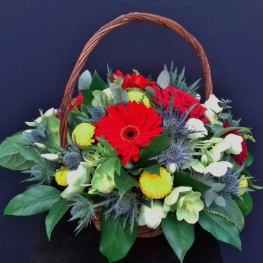 Basket of The Day