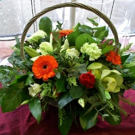 Green Orchids Basket